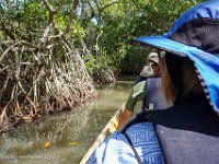 DS702095 : David von der Mehden