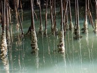 DS702101 : David von der Mehden