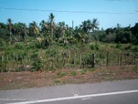 DS702173 : David von der Mehden