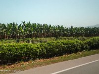 DS702176 : David von der Mehden