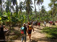 DS702183 : David von der Mehden