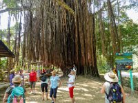 DS702187 : David von der Mehden