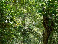 DS702191 : David von der Mehden