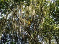 DS702199 : David von der Mehden