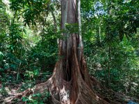 DS702222 : David von der Mehden