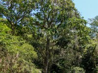 DS702227 : David von der Mehden