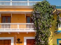 IMG 8263 : David von der Mehden