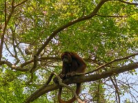 IMG 8289 : David von der Mehden