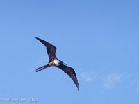 DS701757 : David von der Mehden