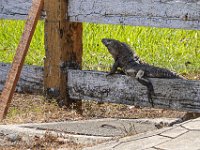 DS701776 : David von der Mehden