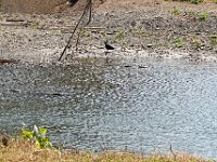 DS701789 : David von der Mehden