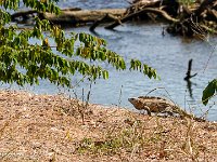 DS701791 : David von der Mehden