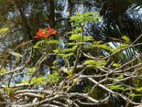 DS701818 : David von der Mehden