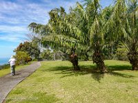 DS701820 : David von der Mehden