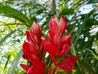 DS701826 : David von der Mehden