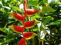 DS701828 : David von der Mehden