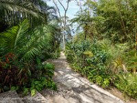 DS701829 : David von der Mehden