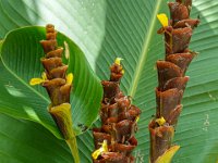 DS701834 : David von der Mehden