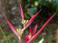 DS701835 : David von der Mehden