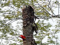 DS701836 : David von der Mehden