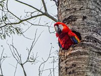 DS701839 : David von der Mehden