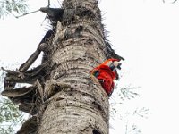 DS701848 : David von der Mehden