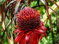 DS701857 : David von der Mehden