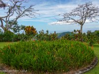 DS701868 : David von der Mehden