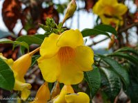 DS701870 : David von der Mehden