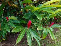 DS701884 : David von der Mehden