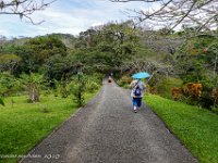 DS701886 : David von der Mehden