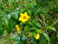 DS701887 : David von der Mehden