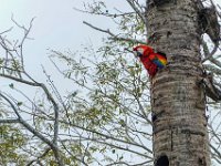 DS701907 : David von der Mehden