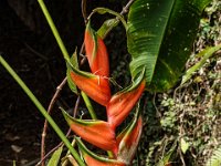 DS701909 : David von der Mehden