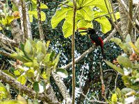 DS701913 : David von der Mehden