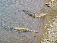 DS701919 : David von der Mehden