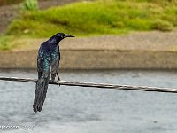 DS701924 : David von der Mehden