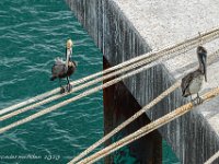 DS701934 : David von der Mehden