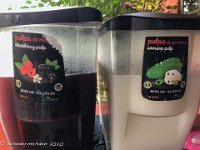 IMG 4134 : David von der Mehden