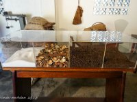 DS702452 : David von der Mehden