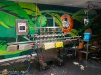 DS702453 : David von der Mehden