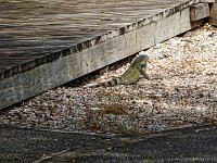 DS702478 : David von der Mehden