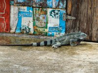 DS702480 : David von der Mehden