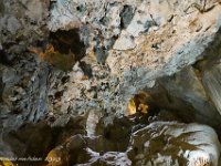 DS702494 : David von der Mehden