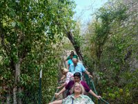 DS702503 : David von der Mehden