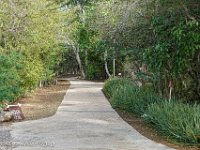 DS702506 : David von der Mehden