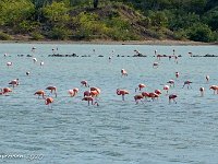 DS702511 : David von der Mehden