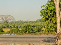 DS701504 : David von der Mehden