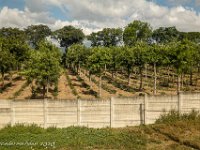 DS701539 : David von der Mehden