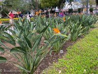 IMG 8164 : David von der Mehden